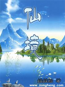 蝙蝠侠：阿甘骑士