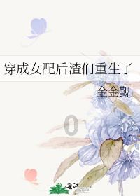 她是外交部冷艳翻译官，人称“冰美人”，不苟言笑神似赵薇